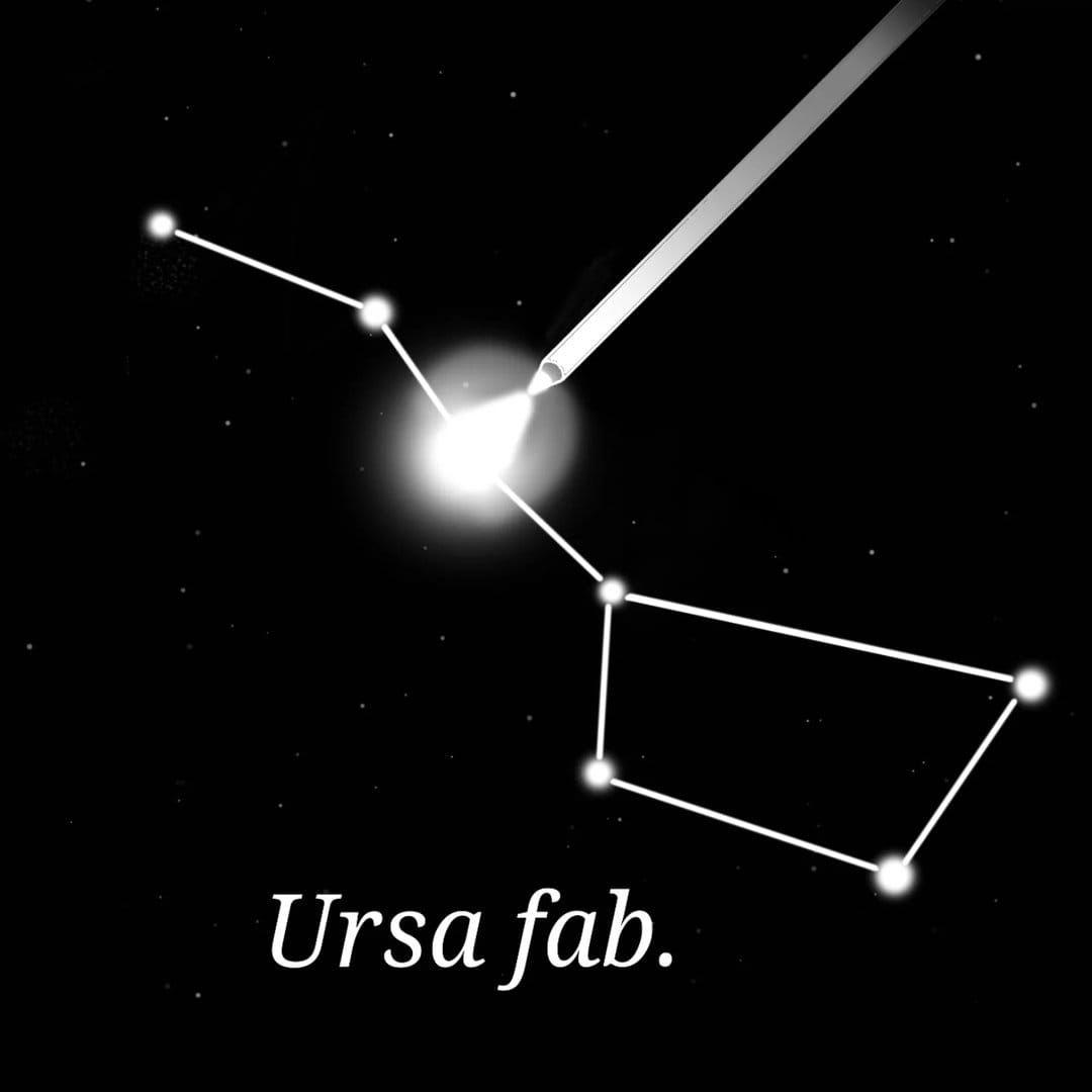 Ursa fab.